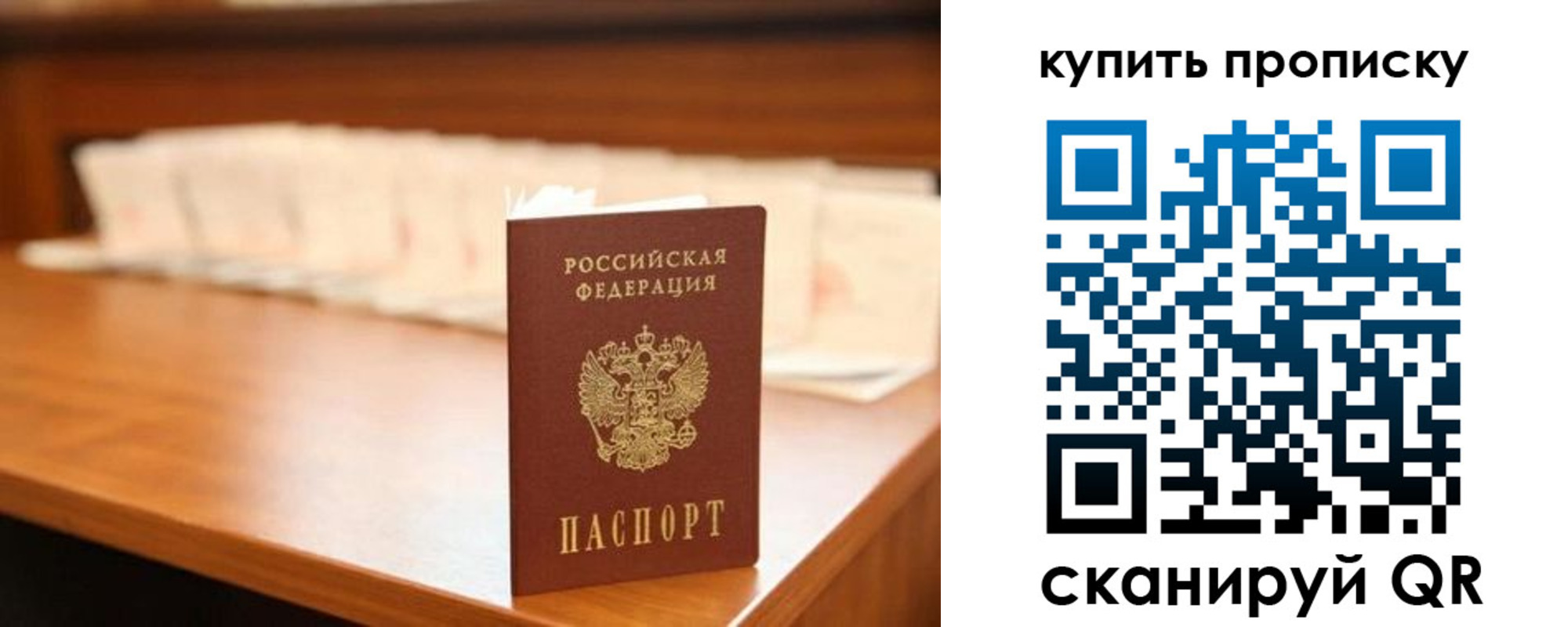 прописка 2025 в Зеленоградске